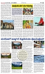 page-5